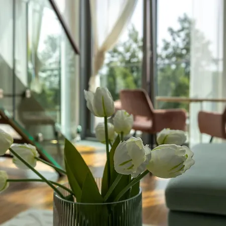 Skau 3 Eurovea Danube View Free Parking *